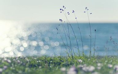 浅谈不锈钢螺旋输送机的特点